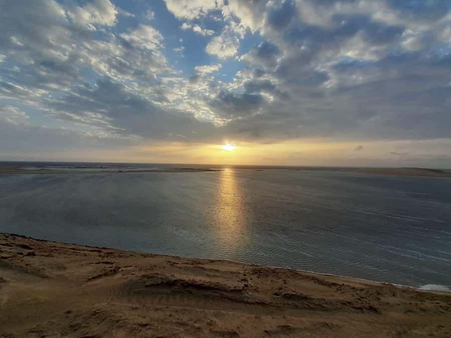 Full day desert safari with lunch or Dinner - Who will enjoy this outing most