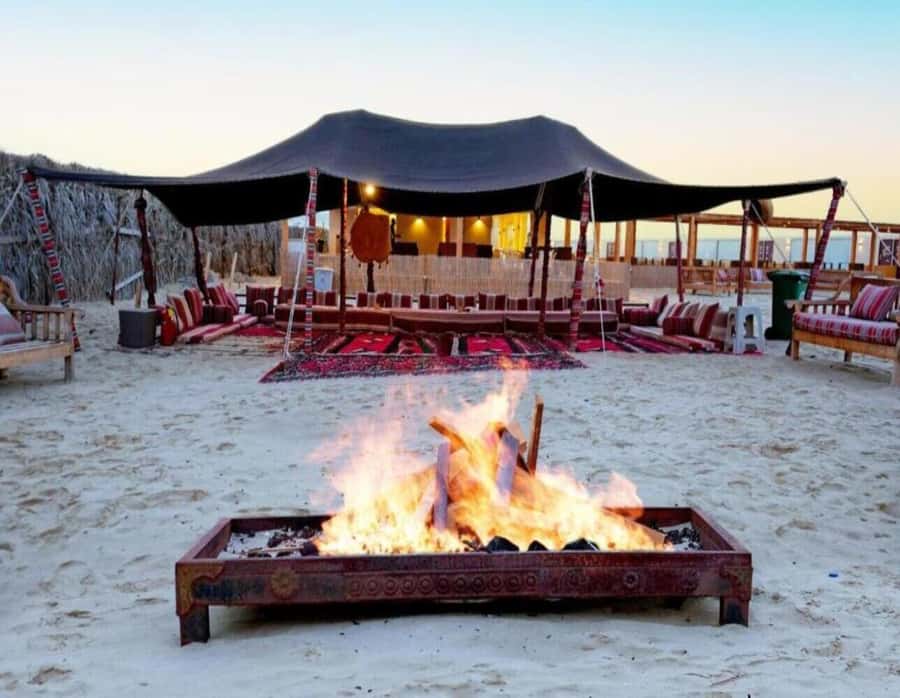 Full day desert safari with lunch or Dinner - Timing, comfort, and booking advice
