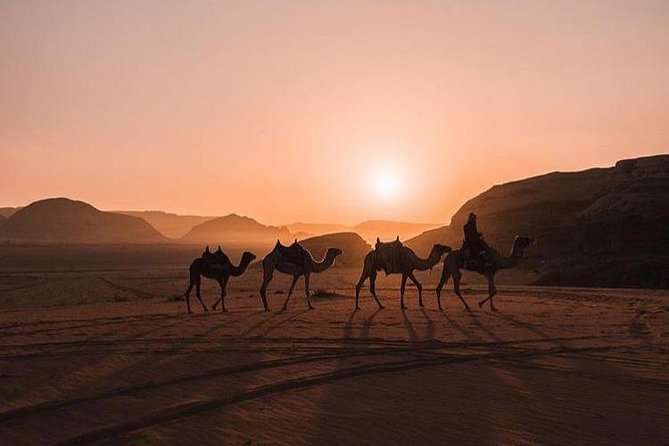 Full Day Jeep Tour with Overnight in beduin Camp Stay! (All Meals Included) - Starting at Wadi Rum Village at 10:00