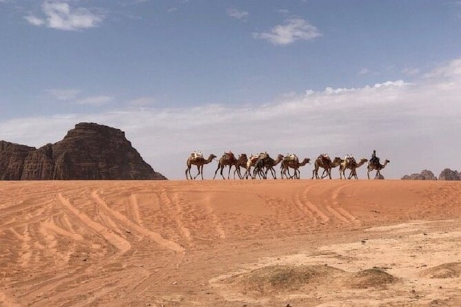 Full-Day Private Tour in Petra with Hotel Pick-Up - What is included, and what changes the value