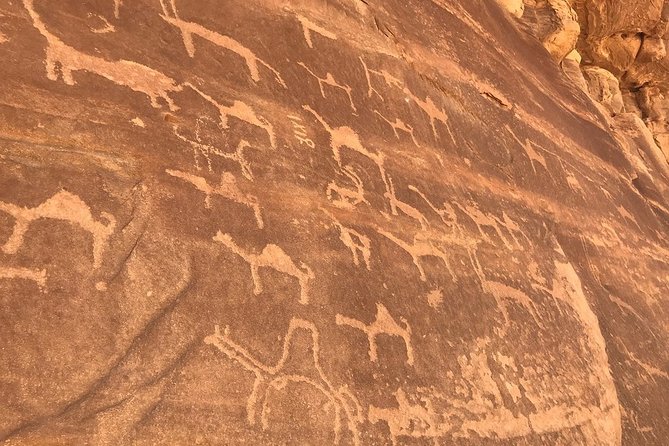 Full-Day Private Tour in Petra with Hotel Pick-Up - Who should book this Petra tour