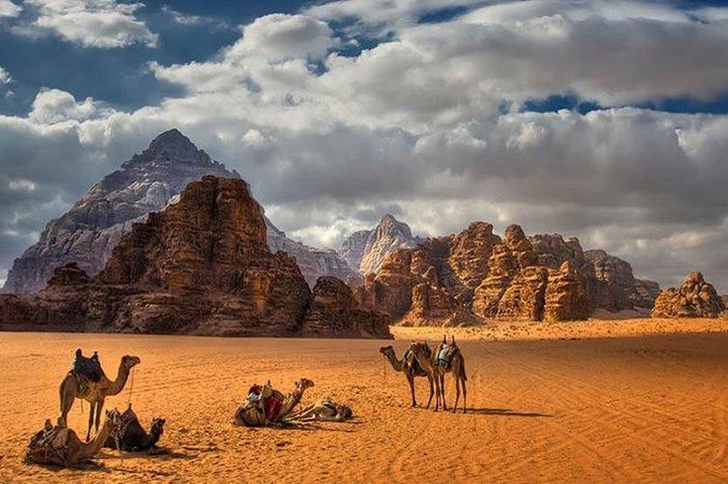 Full-Day Private Trip To Petra, Wadi Rum - Choosing a Petra guide