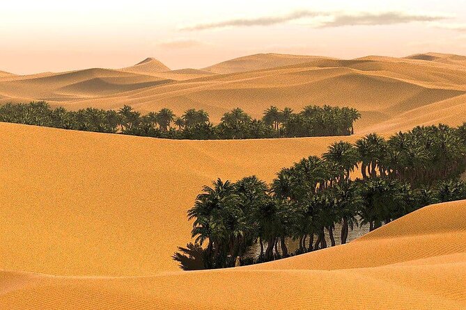 Full-Day Private Wahiba Sands Desert and Wadi Bani Khalid Tour - Camels, extra activities, and what costs more