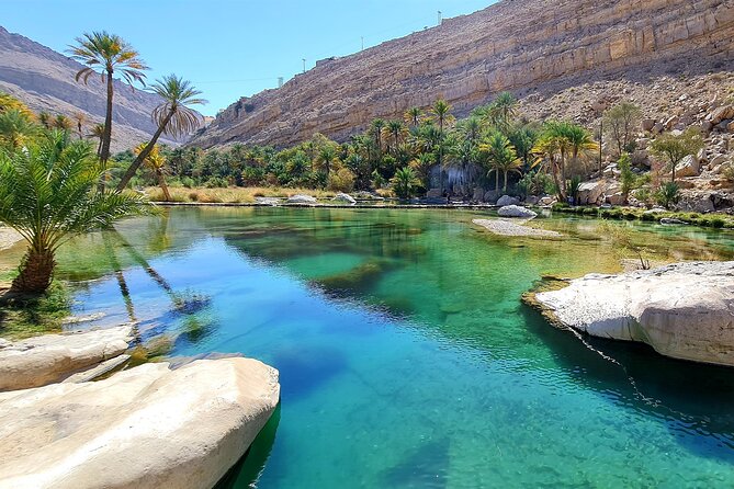 Full-Day Private Wahiba Sands Desert and Wadi Bani Khalid Tour - Who should book this experience