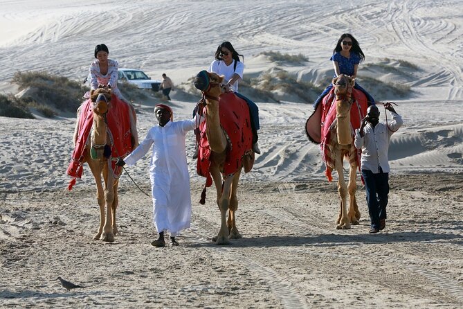 Full-day Qatar desert safari: dune bashing, sandboarding, camels - Sealine Beach and the first taste of Qatar’s desert