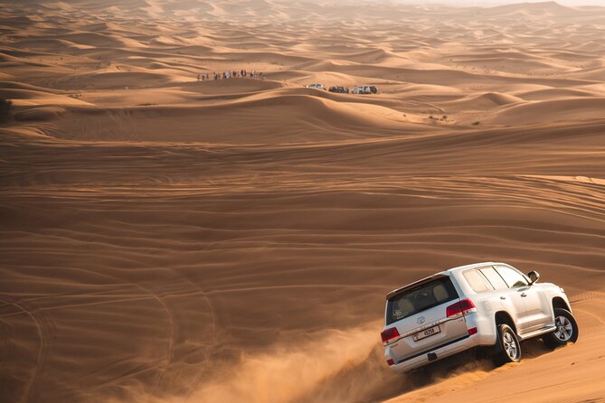 Full Day Safari Grand Adventures with Dune Bash on 4X4 in Dubai - Stop one: a short camel ride and open-ended sandboarding