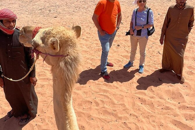 Full Day Tour Petra and Wadi Rum from Amman - What the $100 price really covers
