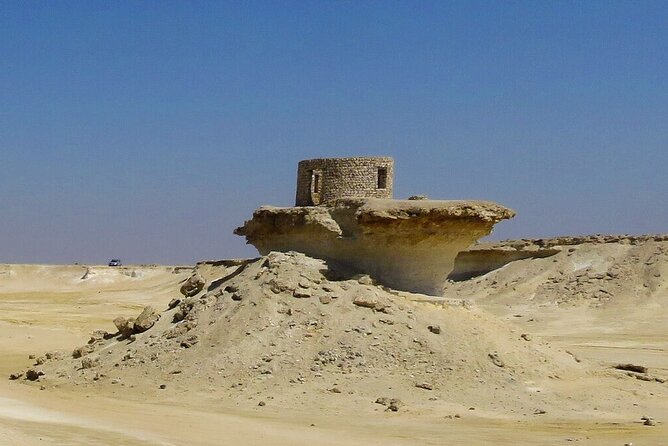 Full-Day Tour Qatar North And West - Al Shamal and the camel-racing track
