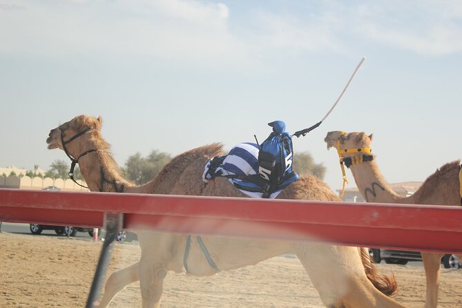 Full-Day Tour Qatar North And West - Purple Island shows Qatar’s quieter northeast