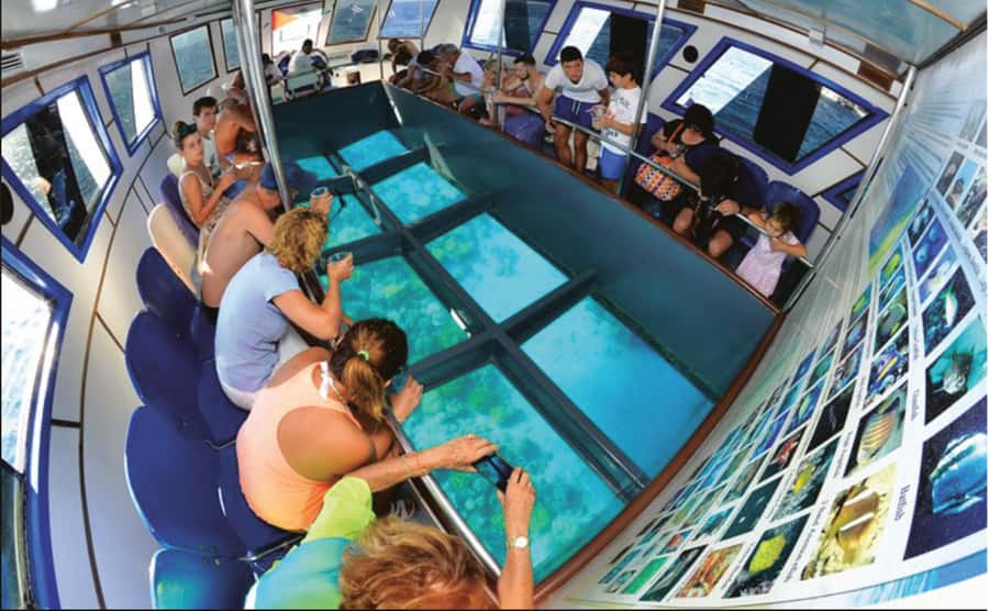 Glass Boat & Snorkeling with day use of Berenice Beach Club - Aqaba’s underwater sights from a glass-bottom boat