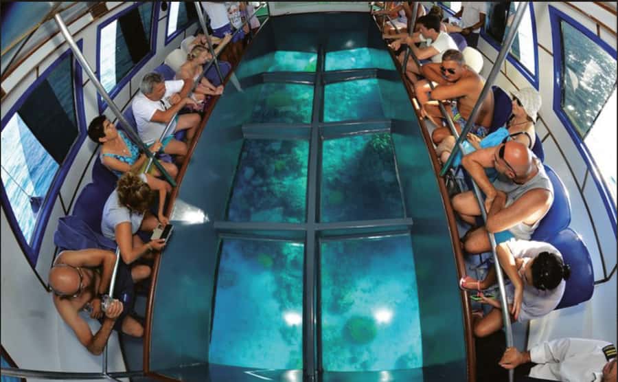 Glass Boat & Snorkeling with day use of Berenice Beach Club - Berenice Beach Club gives the day some breathing room