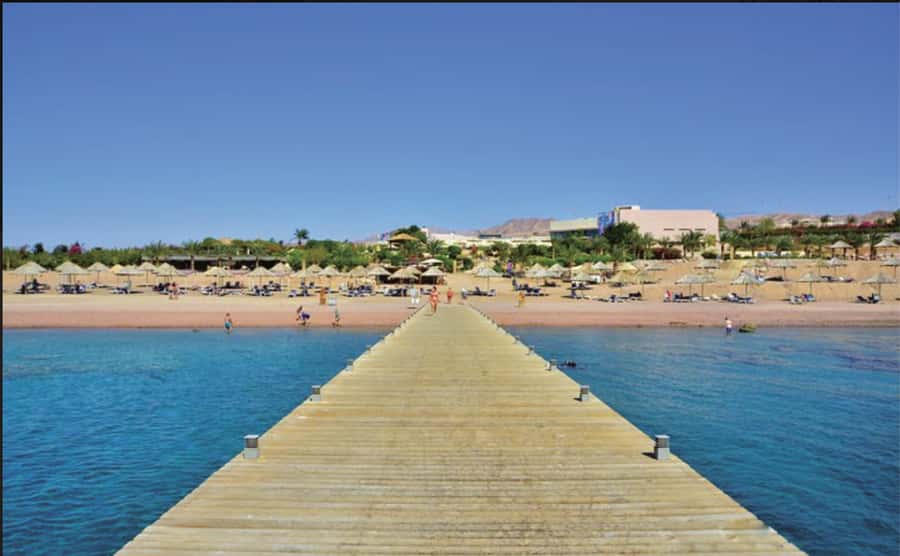 Glass Boat & Snorkeling with day use of Berenice Beach Club - Two snorkeling stops, with one communication issue to know