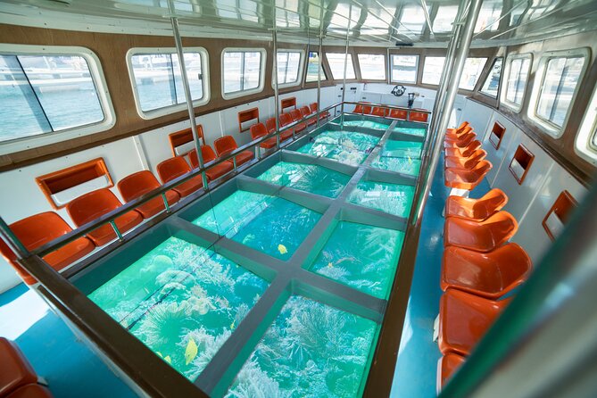 Glass-Bottom Boat 2-hours Tour and Coral-Reef Viewing from Aqaba - What the Aqaba glass-bottom boat actually offers