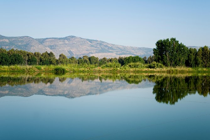 Golan Heights Day Trip from Tel Aviv - The Golan Antiquities Museum in Thirty Minutes