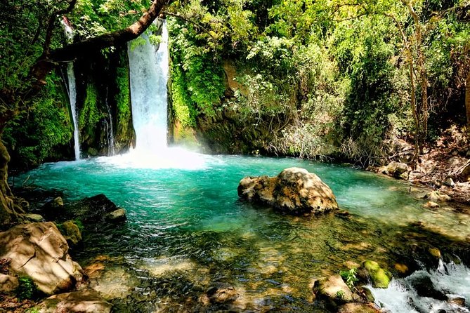 Golan Heights Day Trip from Tel Aviv - Who Should Book This Golan Heights Tour?