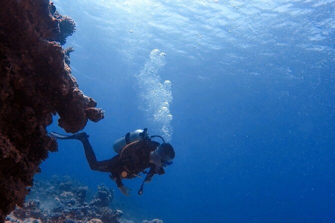 Guided Scuba Diving Adventure in Aqaba - What the Aqaba session is really like