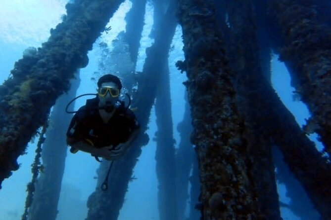 Guided Scuba Diving Adventure in Aqaba - Coral, fish, and the pleasure of moving underwater