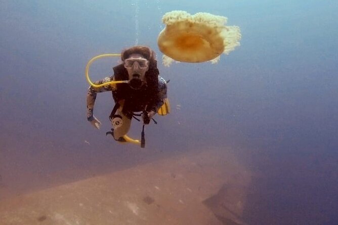 Guided Scuba Diving Adventure in Aqaba - The briefing matters, especially for beginners