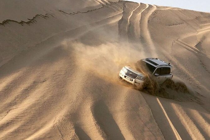 Half Day Desert Safari and Inland Sea - The camel ride: brief but useful for photos