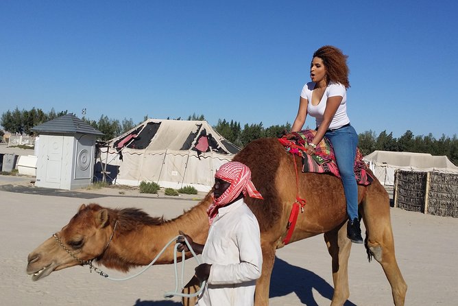 Half-Day Desert Tour - Meeting the camels at the Royal Camel Farm