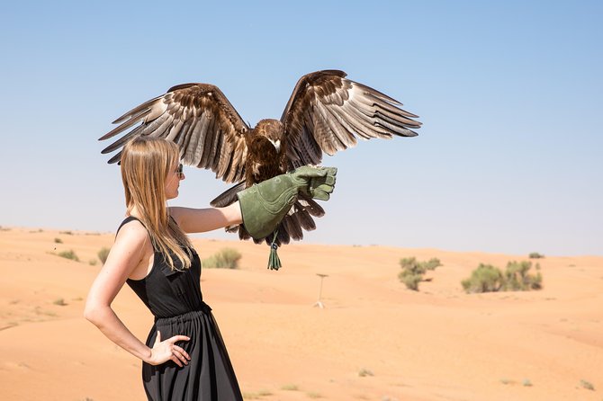 Half-Day Evening Desert Safari in Dubai with BBQ Dinner - Dune bashing in a 4x4 Land Cruiser
