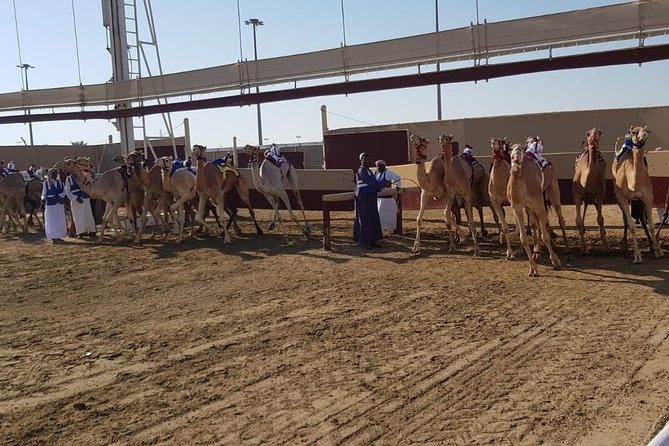 Half-Day Private Guided Camel Race Tour in Qatar - The 6am start brings cooler air and sunrise views