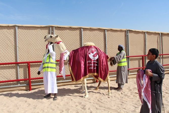 Half-Day Private Guided Camel Race Tour in Qatar - What the $133.34 price really covers