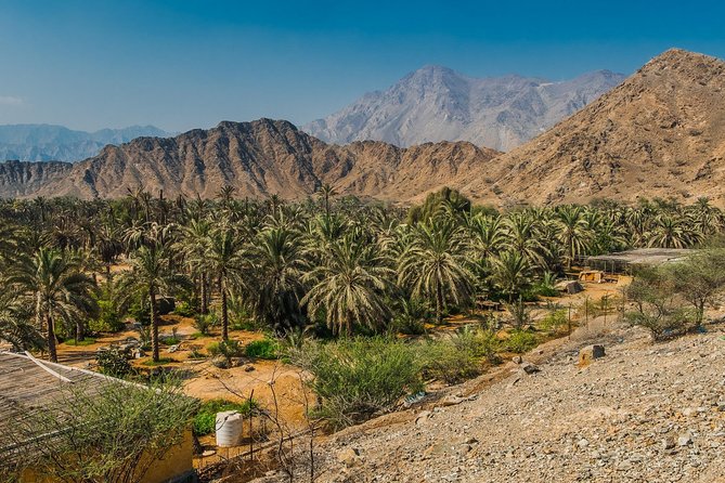 Hatta Mountain Adventure Tour - My call: book it after confirming the dam