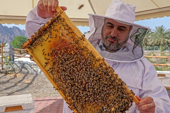 Hatta Mountain Tour, Hatta Dam, Heritage Village, Honeybee Garden - Wadi Hatta Park and Hatta Wadi Hub