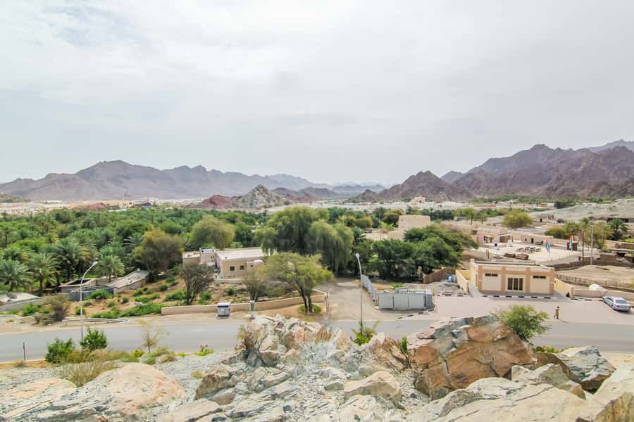 Hatta Safari & Honey Bee Garden Visit - Why Hatta makes a better half-day escape