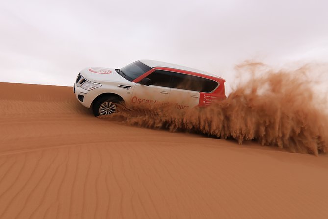 High Red Dunes with Camel Ride, Sandboarding, Falcon Show and VIP BBQ Dinner - Why the Lahbab red dunes make this safari different