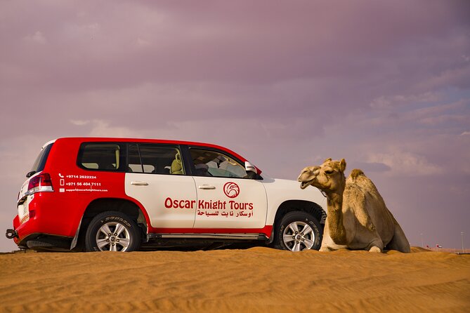 High Red Dunes with Camel Ride, Sandboarding, Falcon Show and VIP BBQ Dinner - Sunset, camels, and a slower desert hour