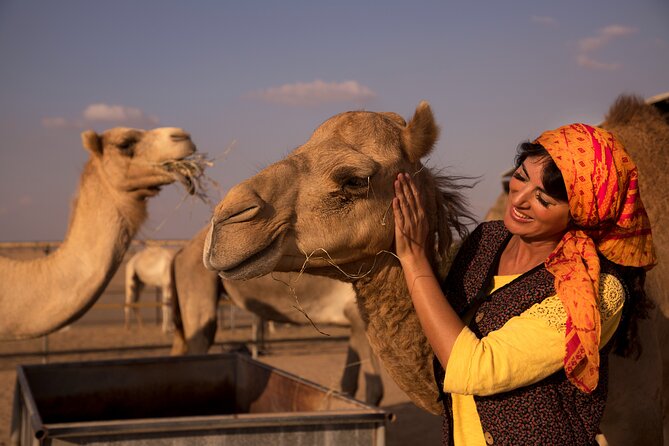 High Red Dunes with Camel Ride, Sandboarding, Falcon Show and VIP BBQ Dinner - The 30 to 45 minute red-dune drive