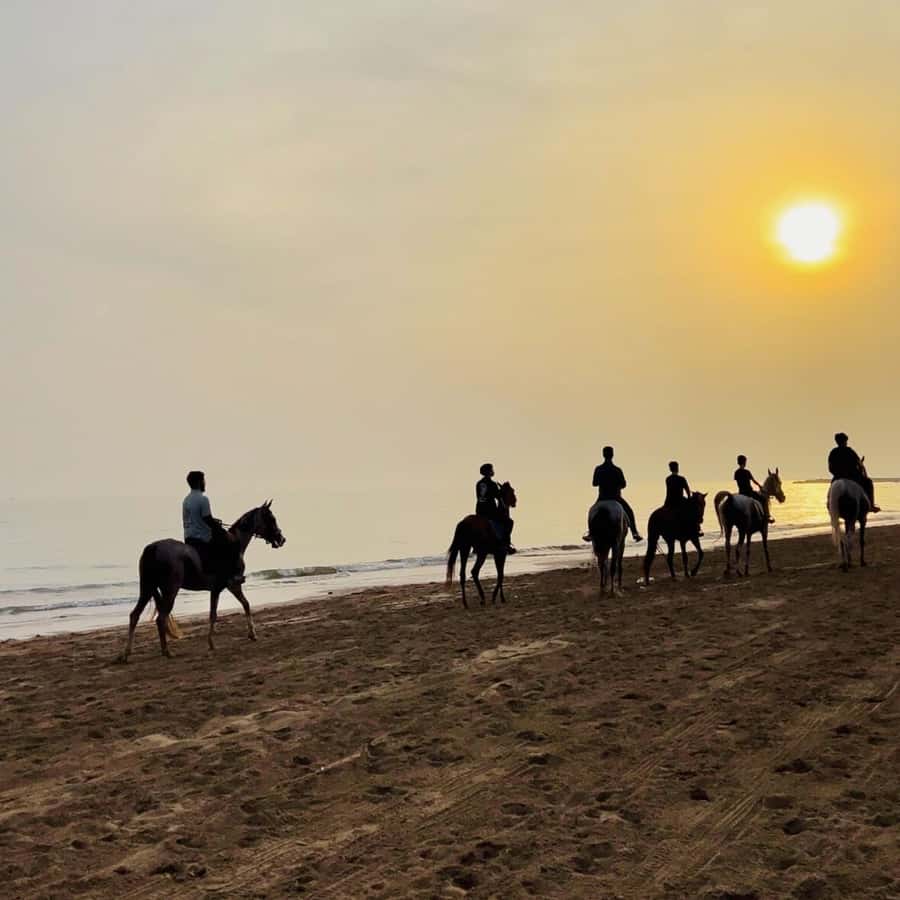 Horse riding in muscat beach - Riding Arabian horses beside Muscat’s sea