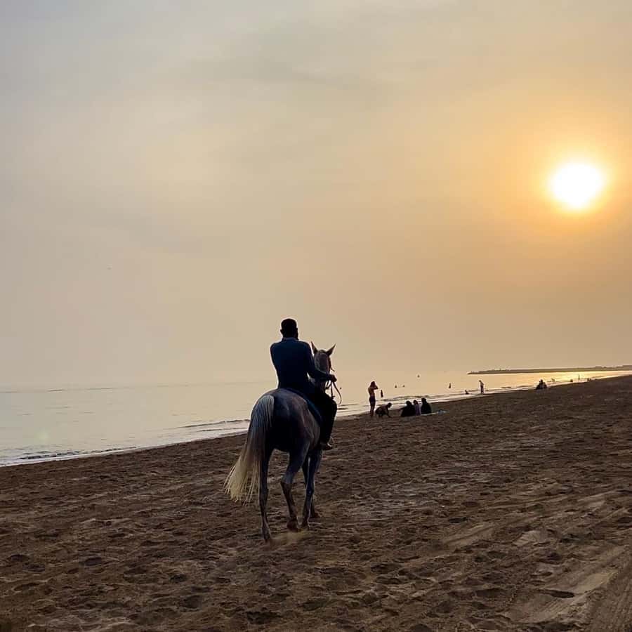 Horse riding in muscat beach - Payment confusion and how to avoid it
