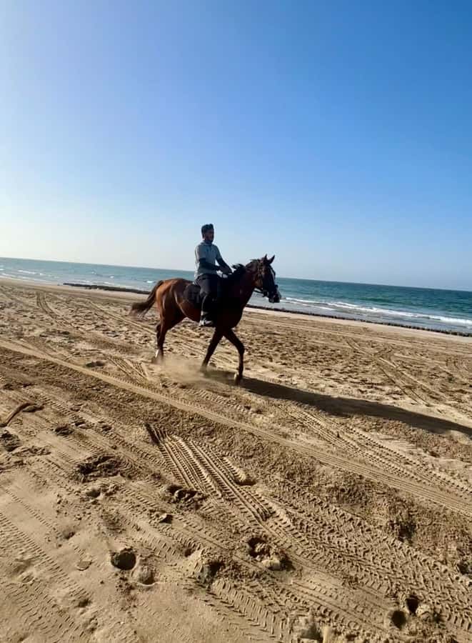 Horse riding in muscat beach - Is $59 good value?