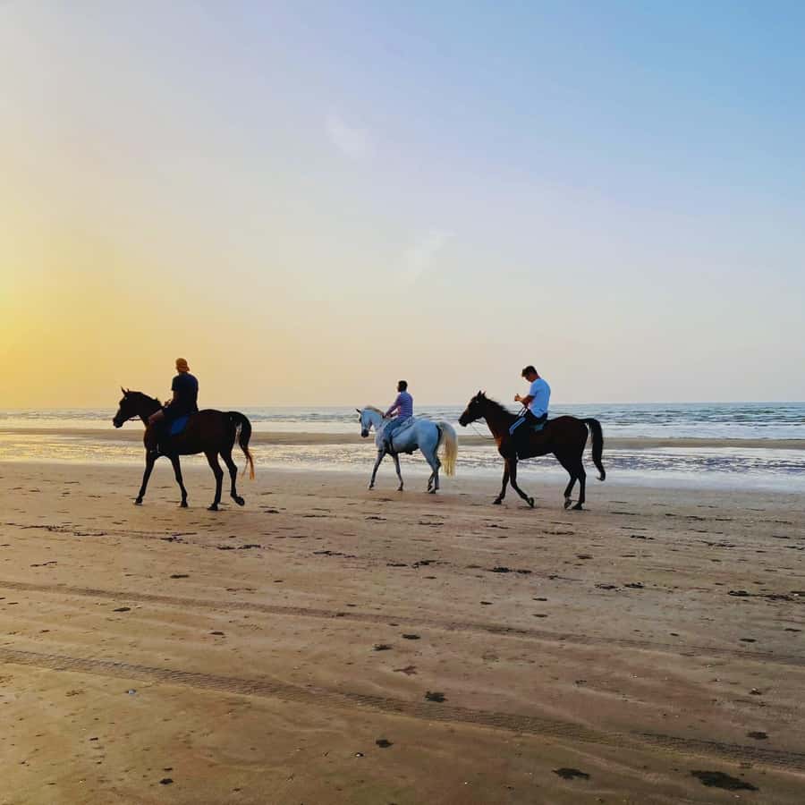 Horse riding in muscat beach - The beach setting and photo value