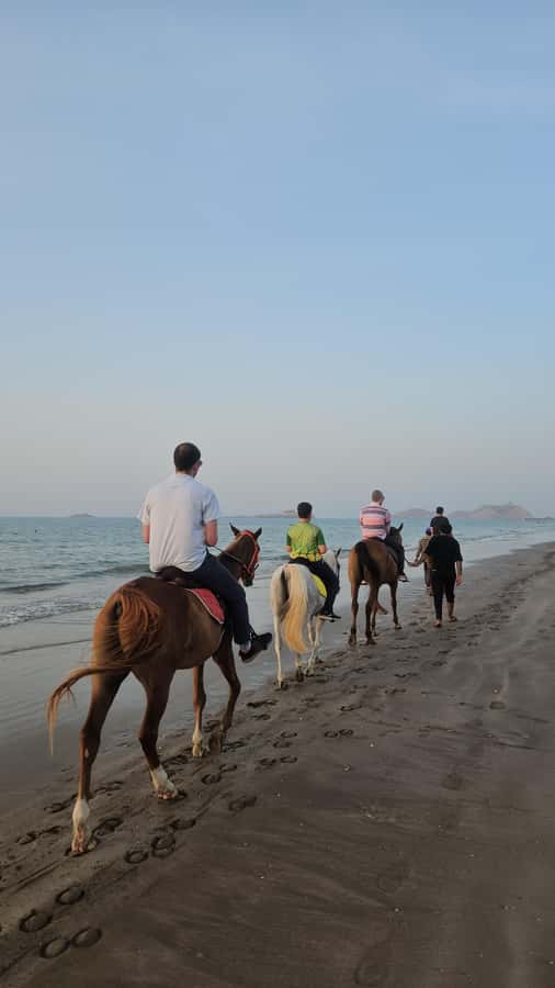 Horse Riding Muscat | Beach Horse Riding - Key points to know before riding