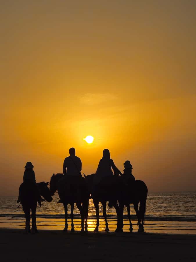 Horse Riding Muscat | Beach Horse Riding - Riding Al Sawadi Beach instead of a riding arena