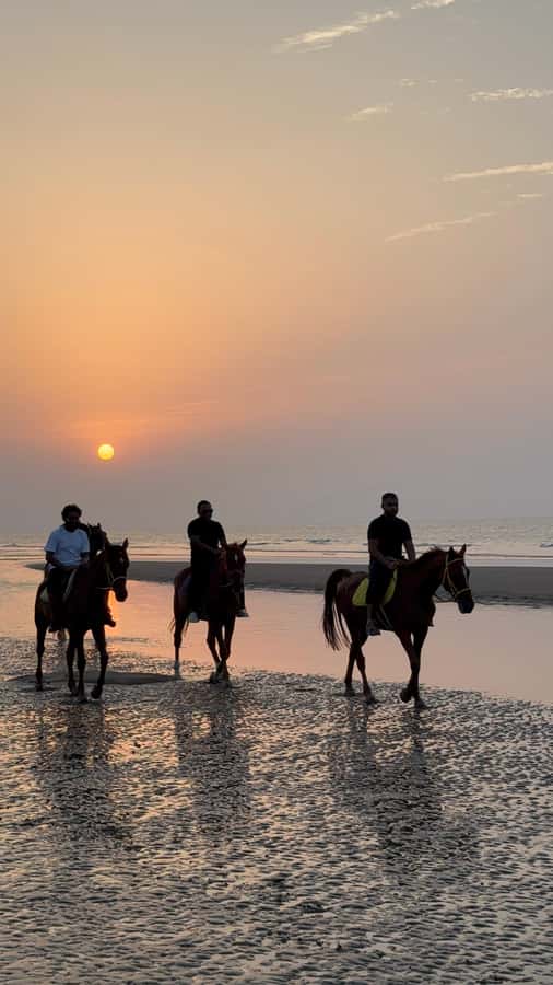 Horse Riding Muscat | Beach Horse Riding - Why the photo help adds real value