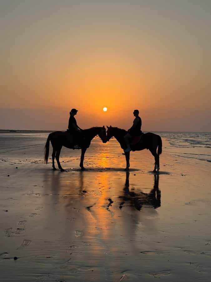 Horse Riding Muscat | Beach Horse Riding - Is $58 good value for an hour?