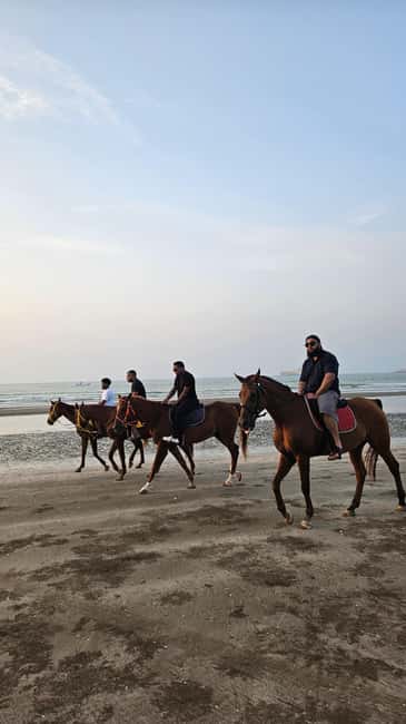 Horse Riding Muscat | Beach Horse Riding - Practical advice for a smoother visit