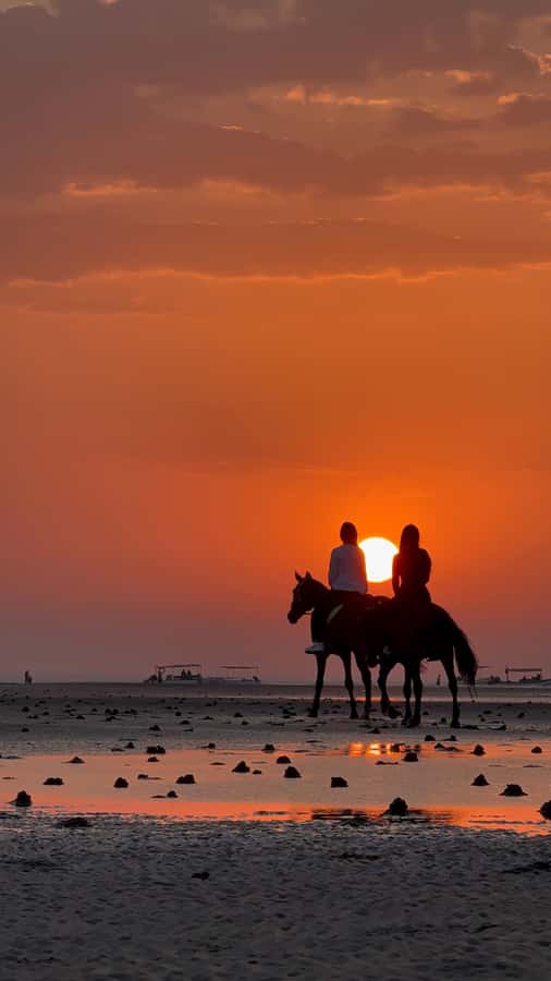 Horse Riding Muscat | Beach Horse Riding - What happens from arrival to the first steps