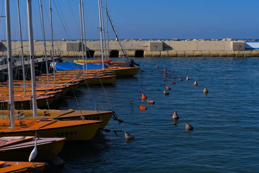 Jaffa: Old City, Port & Shuk Hapishpishim Walking Tour - Shuk Hapishpishim, Jaffa’s flea market