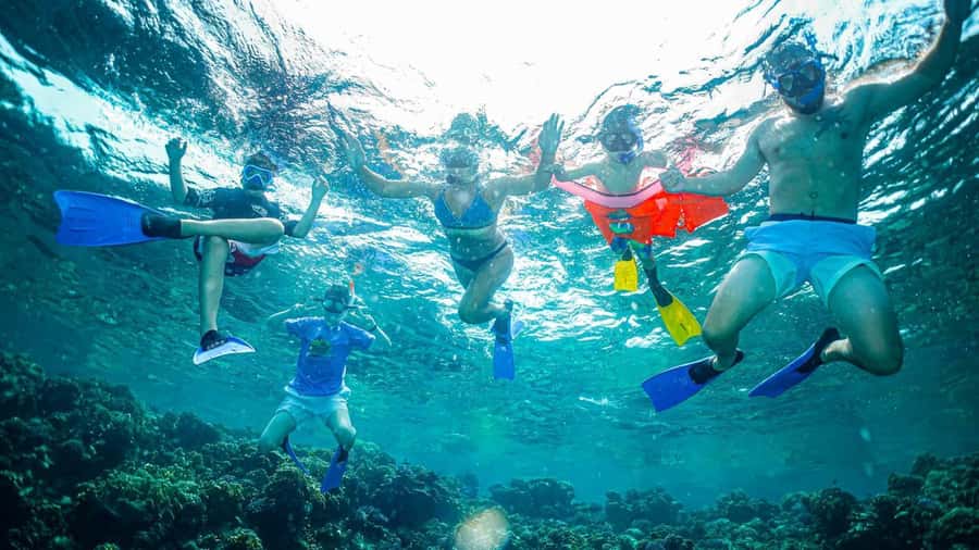 Jeddah: Guided Snorkeling Trip with Snacks and Drinks - Coral, fish, and the best part of the day