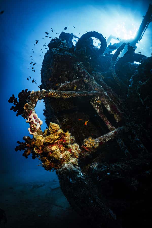 Jeddah: Guided Snorkeling Trip with Snacks and Drinks - Who should book this Red Sea outing?