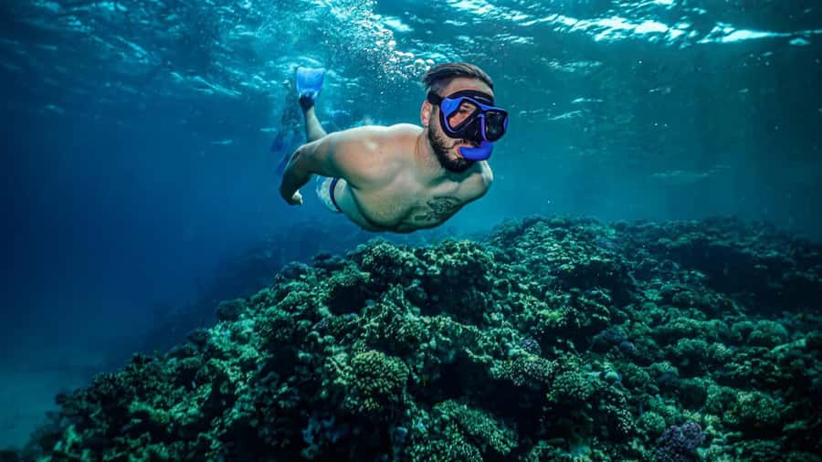 Jeddah: Guided Snorkeling Trip with Snacks and Drinks - What the boat day is really like