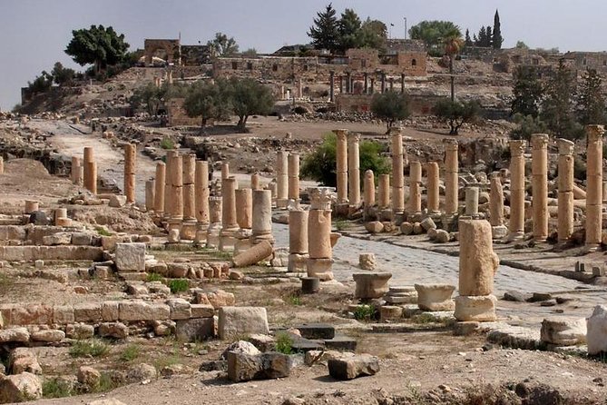Jerash, Ajloun, and Umm Quais Full-Day Tour - What the private car adds to the day