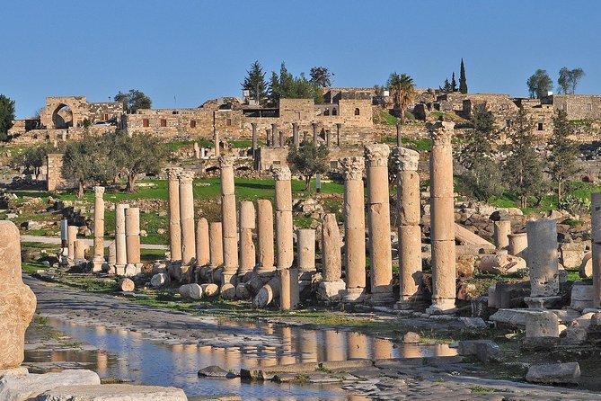 Jerash, Ajloun, and Umm Quais Full-Day Tour - Lunch, coffee, and extra spending