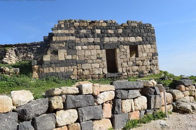 Jerash, Ajloun, and Umm Quais Full-Day Tour - Is $96 a fair price?